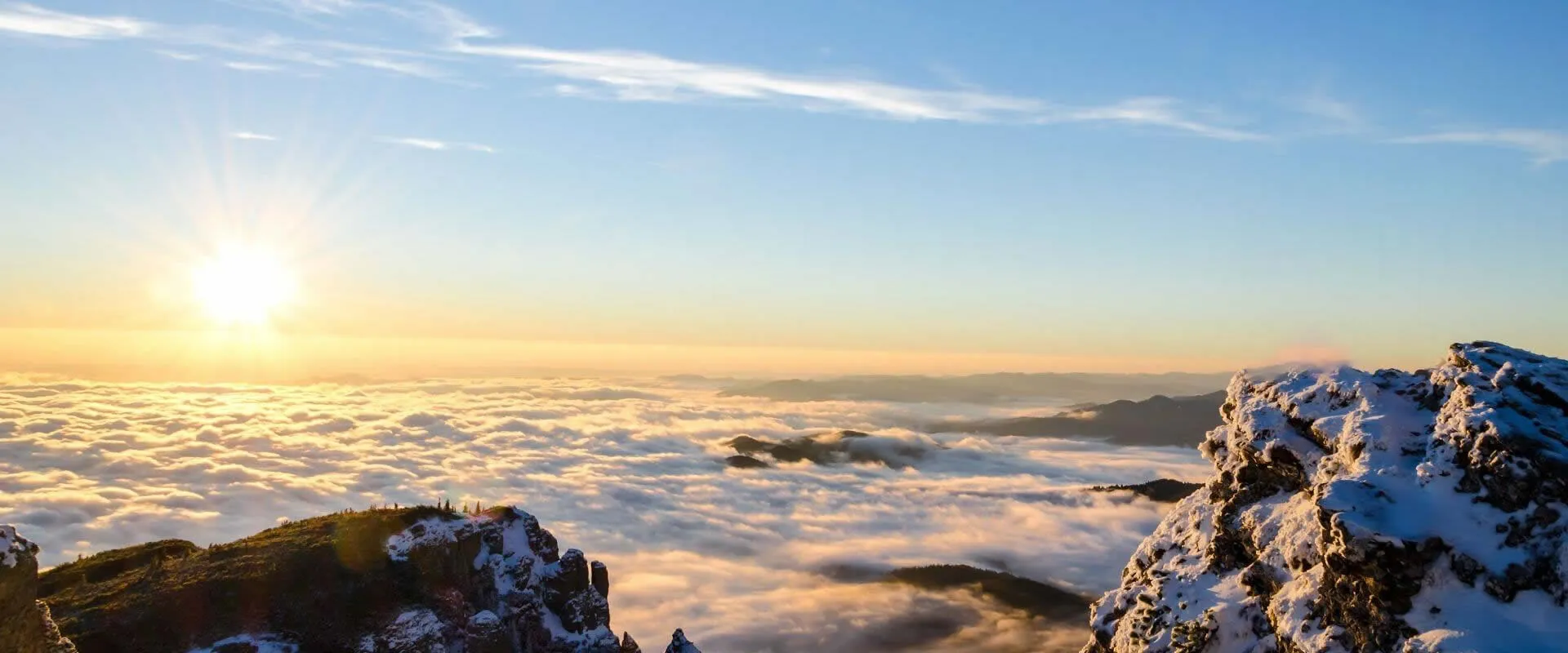 Competitive prices and superior quality